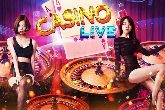 Wild Bounty Live Casino